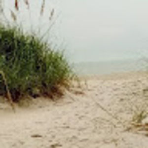 Meet your Posher, Cami